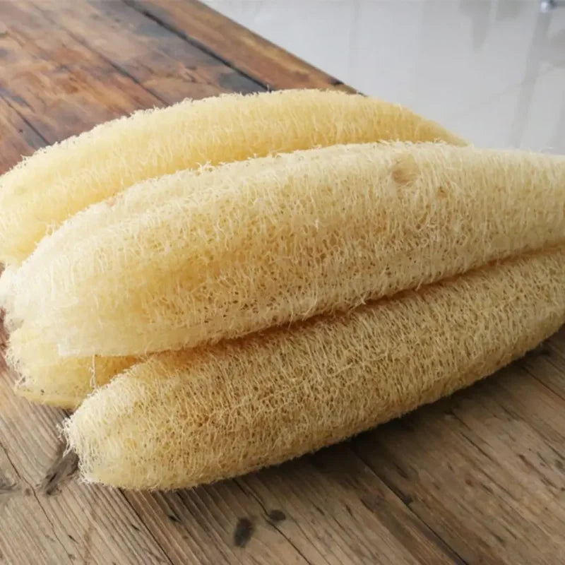 Natural Loofah Sponge for Bath & Kitchen Eco-Friendly Non-Stick Absorbent 10-60cm