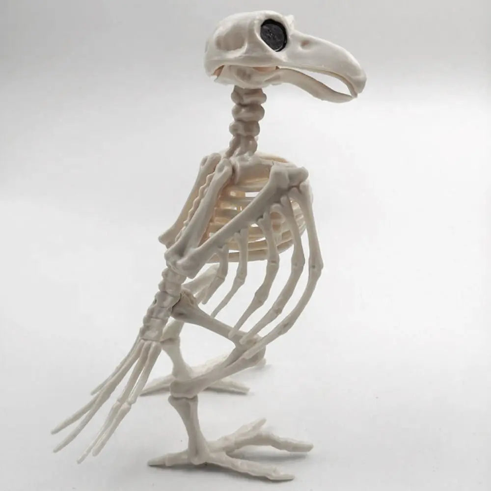 Halloween Skeleton Raven Decor - Plastic Bird Skeleton Prop for Spooky Scene