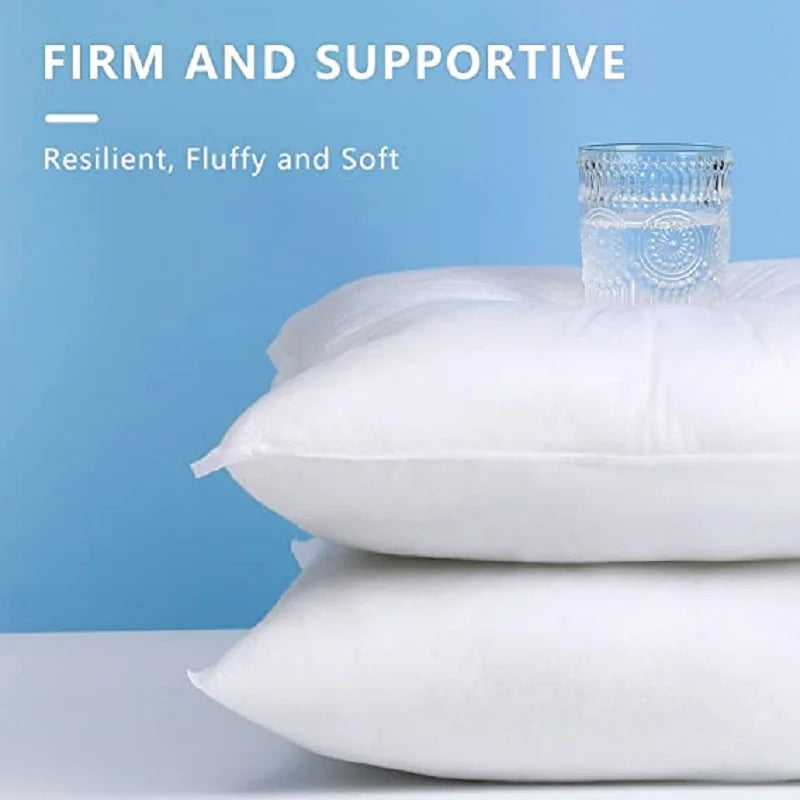 Standard Decorative Pillow Inserts - Multiple Sizes for Sofa & Bed