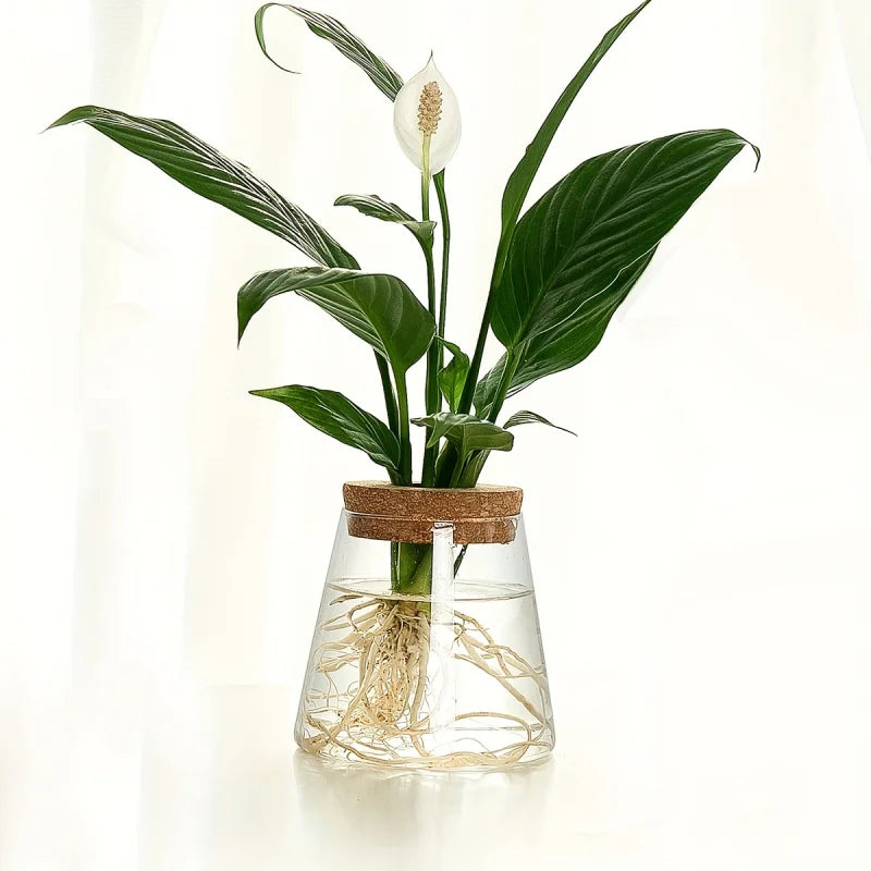 Glass Flowerpot Breeding Station Vase Rack - Desktop Hydroponic Plant Support