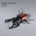 Educational Animal Model Toy - Unicorn Beetle Longhorned Bee Insect Figure for Kids