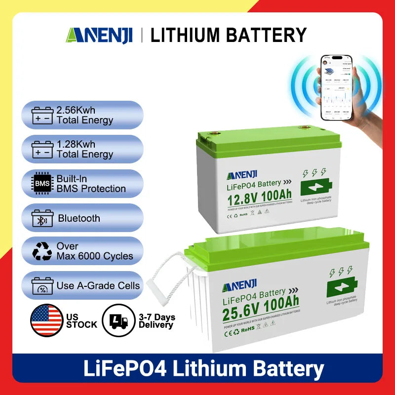 12.8V/25.6V 100Ah LiFePO4 Lithium Battery with Bluetooth and Low Temp Protection