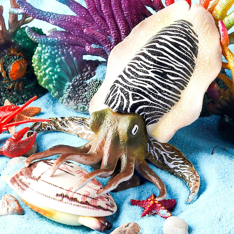 Marine Molluscs Model Action Figure Set – Octopus & Squid Sea Life Educational Toys