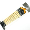 Artist Paint Brush Set - 6/24 Pcs Premium Nylon Hair Paintbrushes for Acrylic, Oil, Watercolor Painting