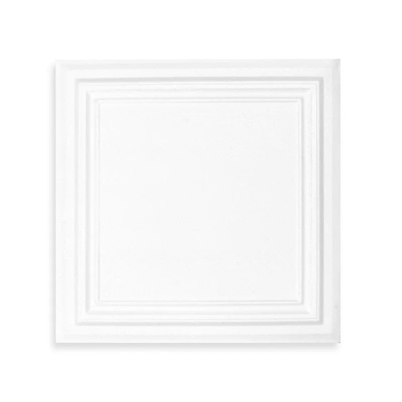 Drop Ceiling Tiles 20x20 Inch Polystyrene Sheet for Home Office Renovation