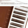 Volume Fan Lashes Extension Premade 3D 6D 8D Thin Root XL Tray