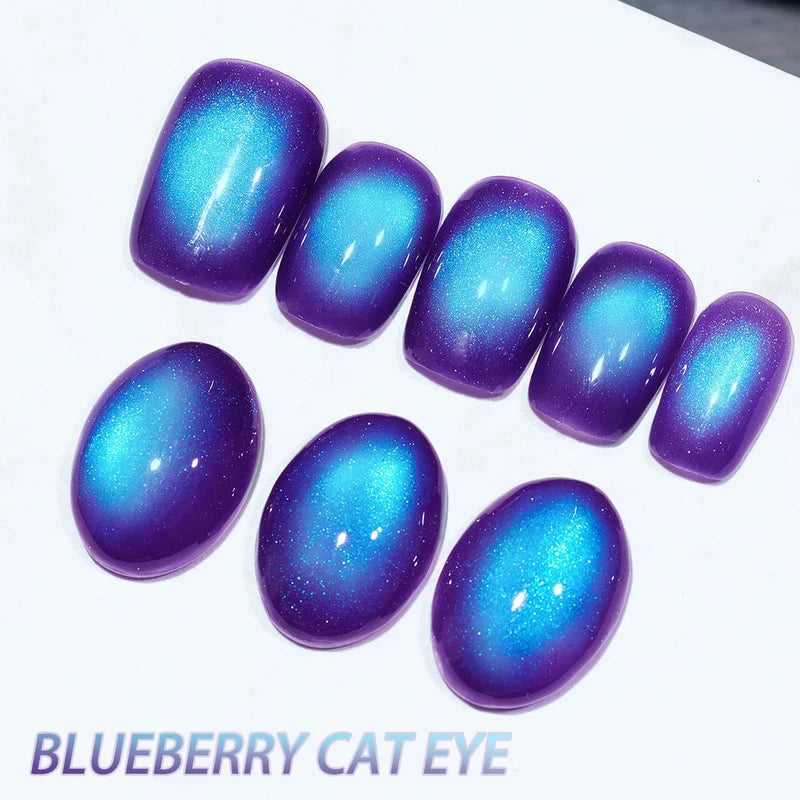 20pcs UV Gel Nail Polish Set with Blueberry & Purple Shades for UV Light Curing