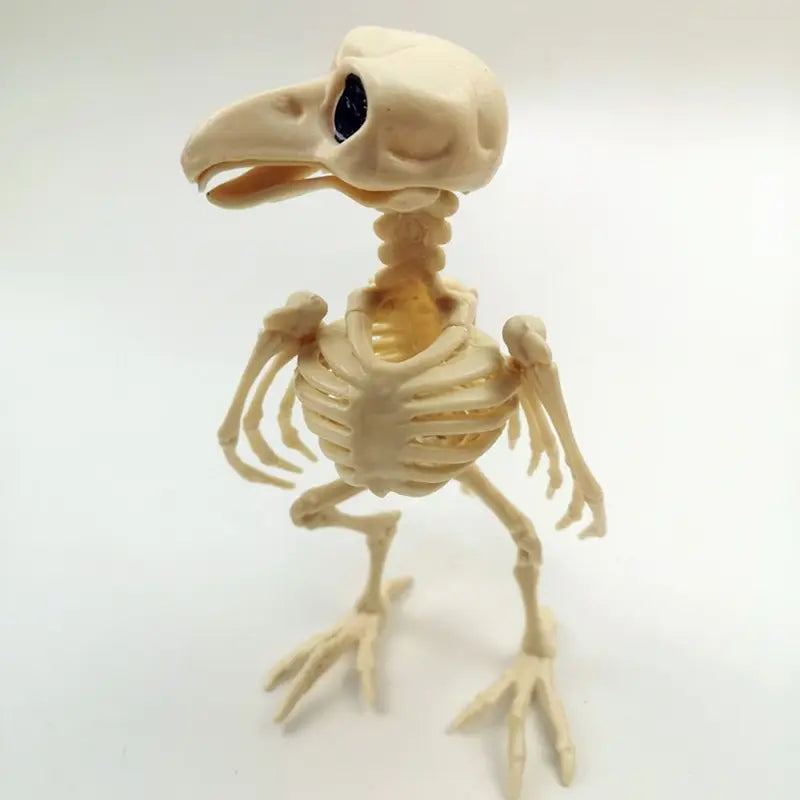 Halloween Skeleton Raven Decor - Plastic Bird Skeleton Prop for Spooky Scene