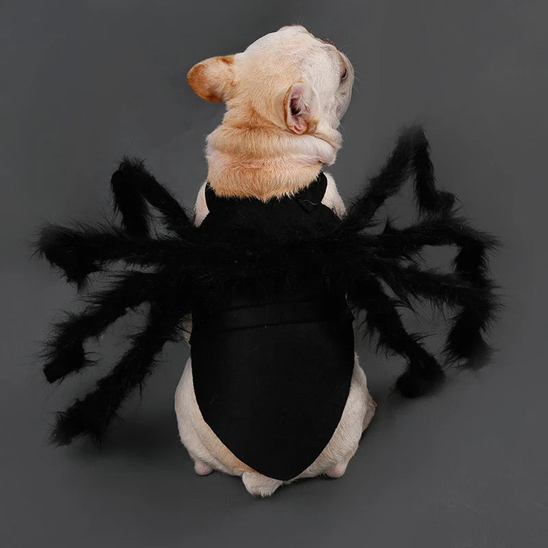 Halloween Pet Costume Spider Outfit for Small & Medium Dogs & Cats - Funny Cosplay