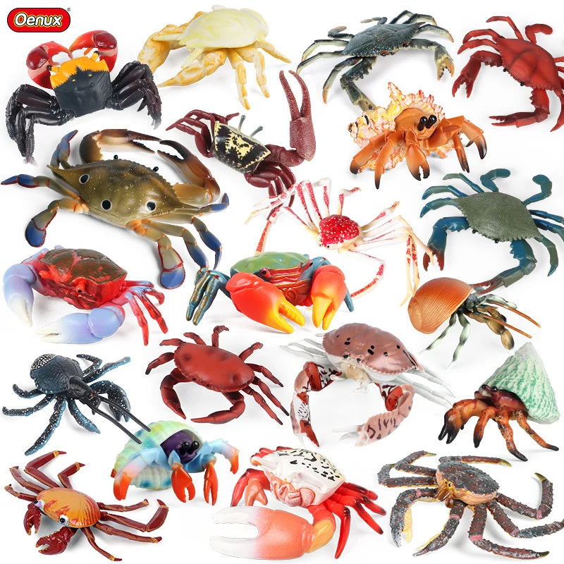 Ocean Sea Life Animals Action Figures Set - Kids Education & Toy Collection