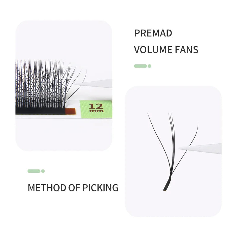 Eyelash Extensions W Shape 3D-6D Premade Volume Fans Faux Mink Natural Lashes