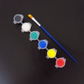 Acrylic & Watercolor Paint Set - 12 Color Pigments for Art & Craft
