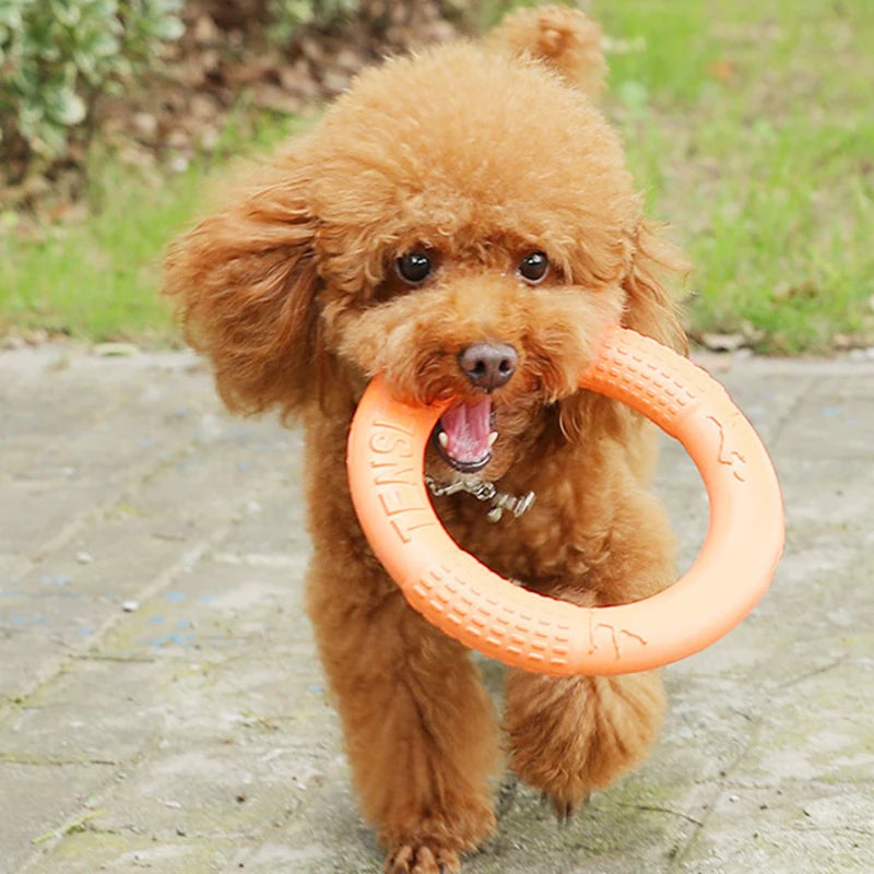 Dog Flying Disk Toy Interactive Training Ring EVA Resistant Fetch Ring