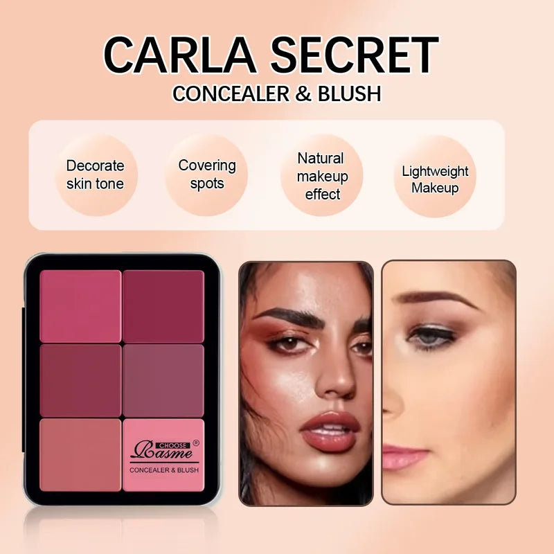 12-Color Concealer Blush Cream Matte Highlight Contour Makeup Palette All-in-One