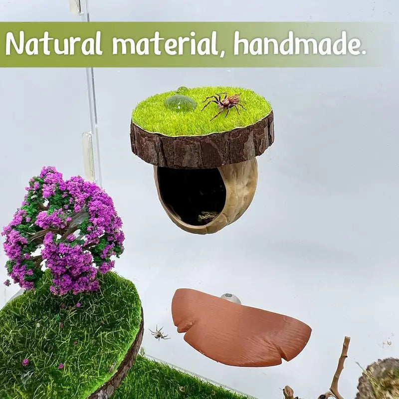 Jumping Spider Enclosure Kit with Hideout & Decor - Natural Habitat Accessories