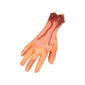 Halloween Bloody Fake Human Organ and Body Part Props for Party Decor