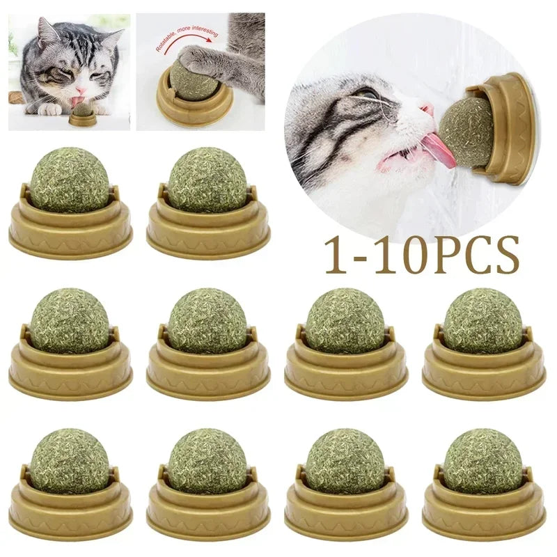 Pet Catnip Toys Ball Set Edible Catnip for Cats Safe Healthy Chasing Play