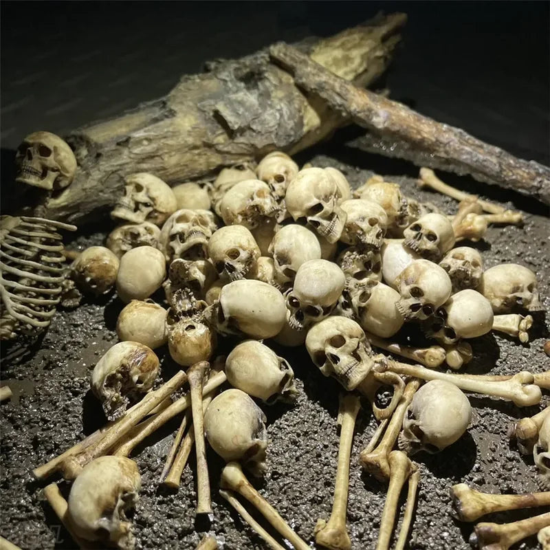 Miniature Skeleton Skull Model for Halloween Dioramas Aquarium & Home Decor - 1:12 Scale