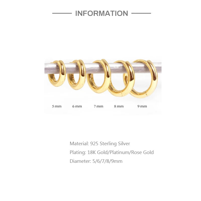 Sterling Silver Rose Gold Small Hoop Earrings for Women Girls Gift Jewelry