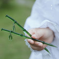 2pcs Retro Bamboo Disc Hairpins for Women’s Daily Hair Accessories