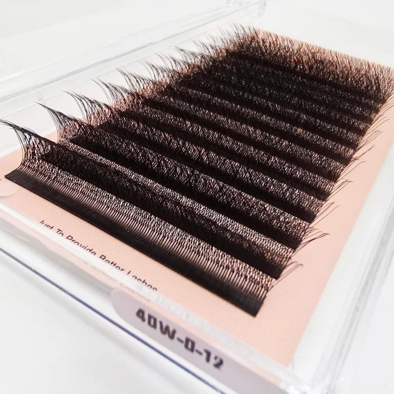 4D W Shape Eyelash Extensions Premade Fans Natural Soft Light Full Lashes