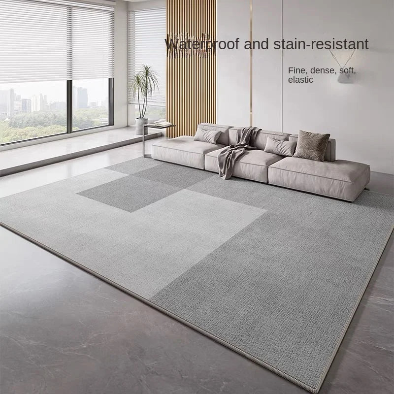 Large Velvet Area Rug for Living Room Bedroom Balcony Minimalist Home Decor