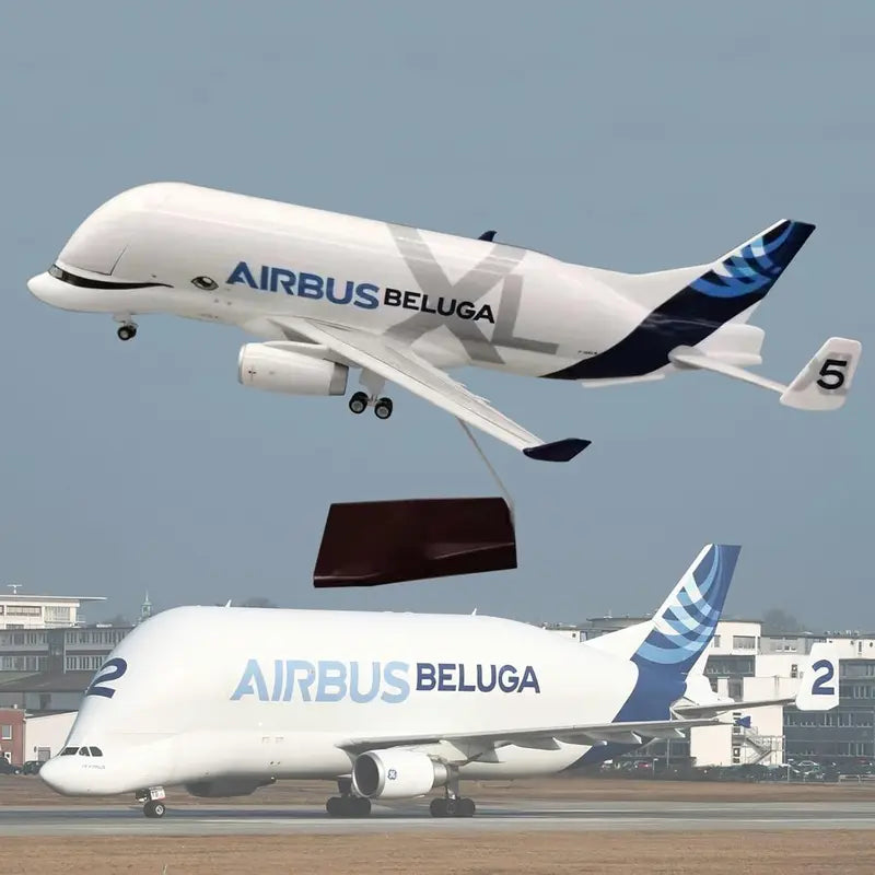 Diecast Resin Aircraft Model - Airbus A330 Beluga Airplane with Open Cargo Bay, 42cm/20cm Scale, Base Display, Multi-Color