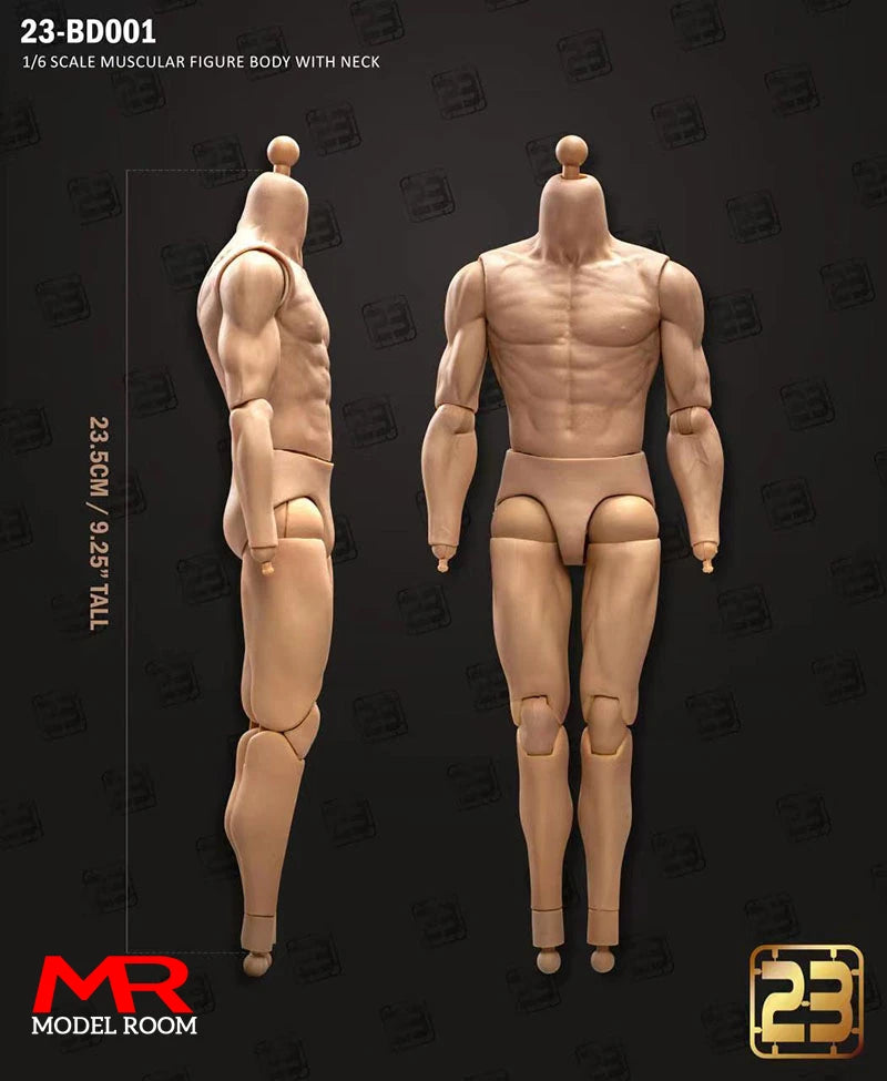 1/6 Scale Male Action Figure Body - Articulated Muscle Model, 23.5-27.5cm