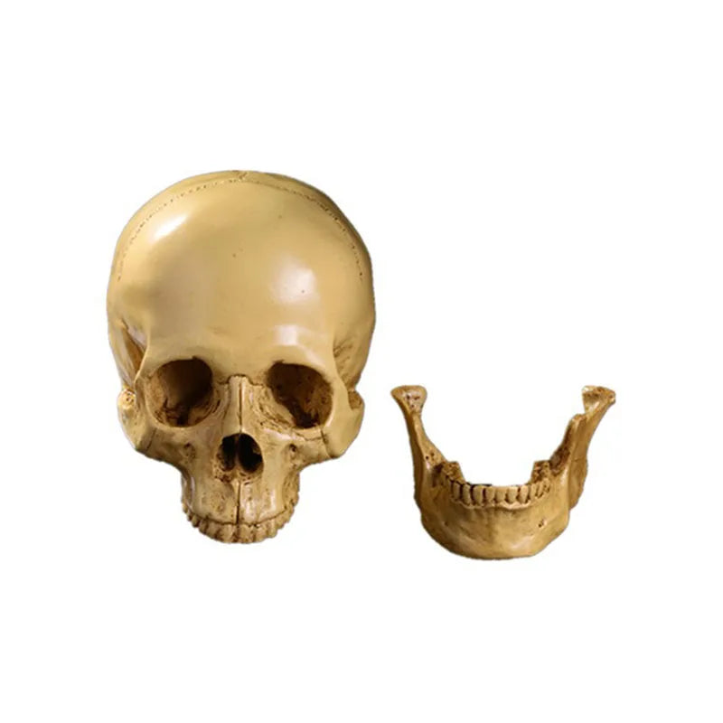 Resin Skull Decor Halloween Centerpiece Gothic Horror Party Decoration