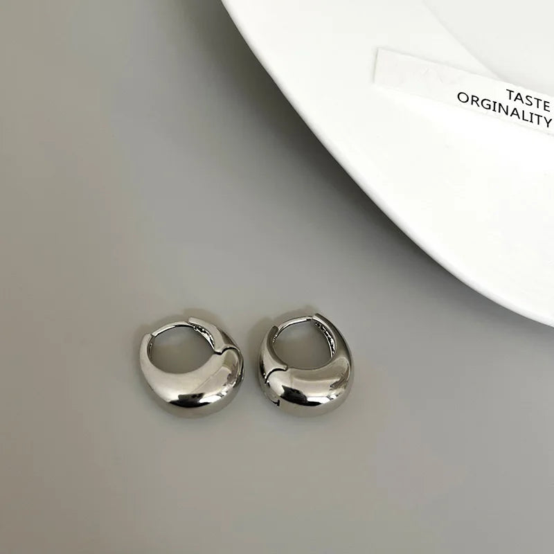 Stainless Steel Chunky Hoop Earrings for Women Girls Statement Jewelry