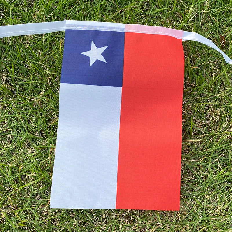 Party Flags - 20 Pcs Chile Bunting Pennants for Festivals & Events
