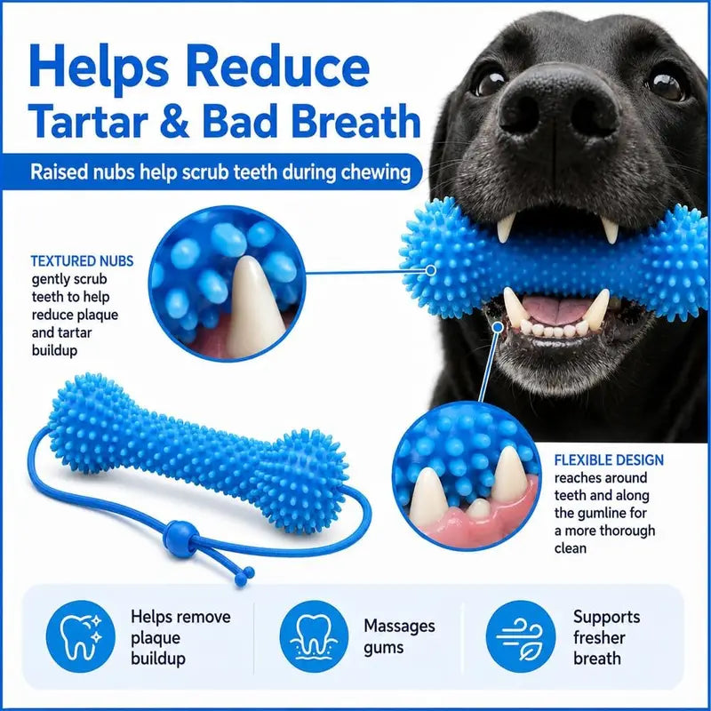 Dual-Action Dog Dental Chew Toy for Teeth Cleaning and Brushing