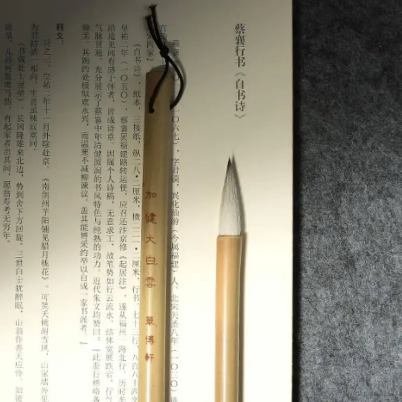 High-End Traditional Chinese Calligraphy Brush Wolf Hair Art Paintbrush - Multiple Colors