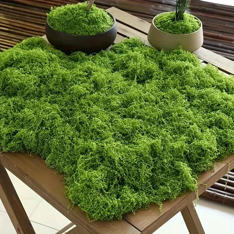 Artificial Green Moss for Crafts and Home Decor - Fake Preserved Plant