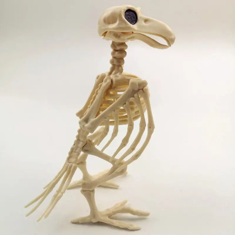 Halloween Skeleton Raven Decor - Plastic Bird Skeleton Prop for Spooky Scene