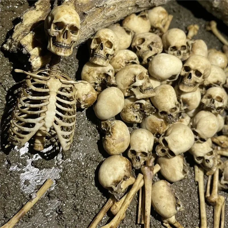 Miniature Skeleton Skull Model for Halloween Dioramas Aquarium & Home Decor - 1:12 Scale