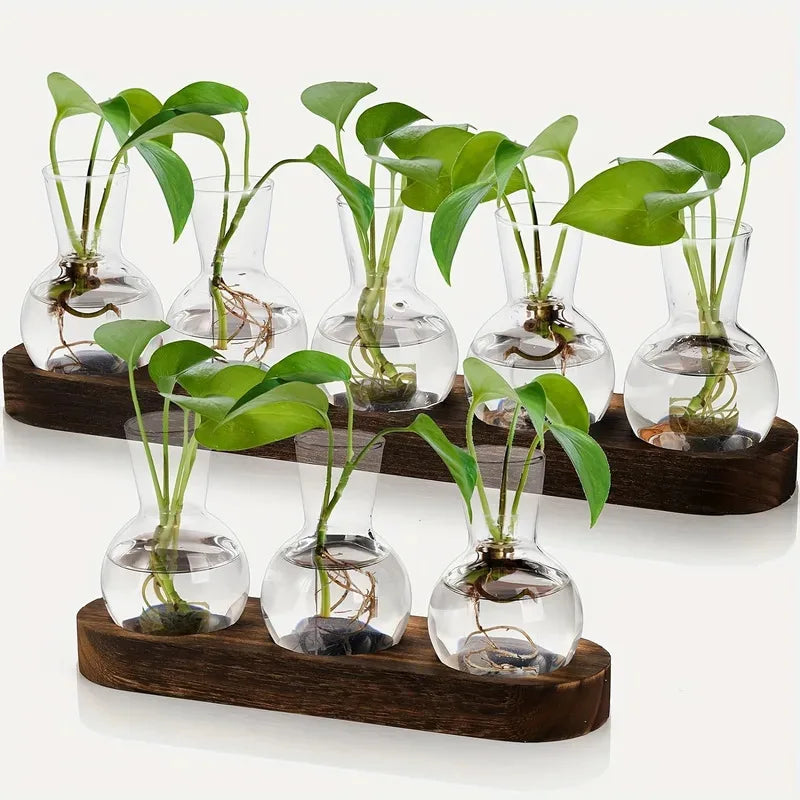 Glass Terrarium with Wooden Tray for Indoor Plants and Propagation