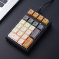 Mini Numeric Keypad RGB Backlight Blue Switch Portable Wired Number Pad for Financial & Office Use