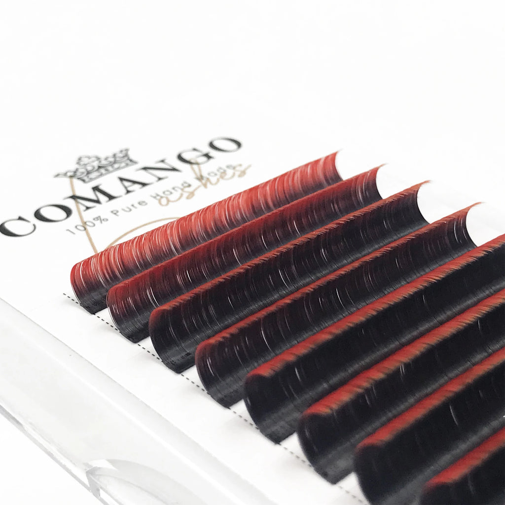 Colored Volume Lash Extensions - Wispy Soft Gradient Fans for Eyelash Artists