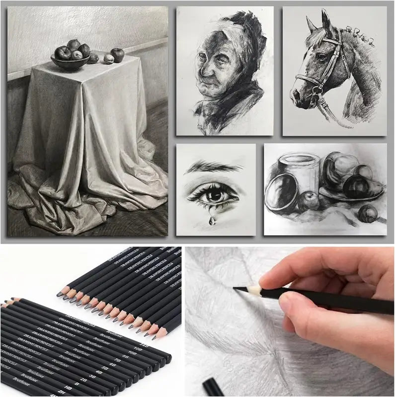 29-Piece Drawing Kit Set with Sketching Pencils Charcoal Sticks Eraser & Sharpener
