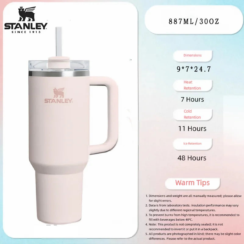 887ml Insulated Stainless Steel Water Bottle with Straw - Vacuum Leakproof Mug