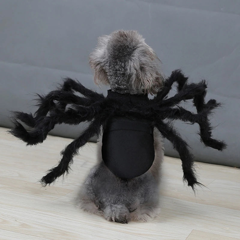 Halloween Pet Costume Spider Outfit for Small & Medium Dogs & Cats - Funny Cosplay