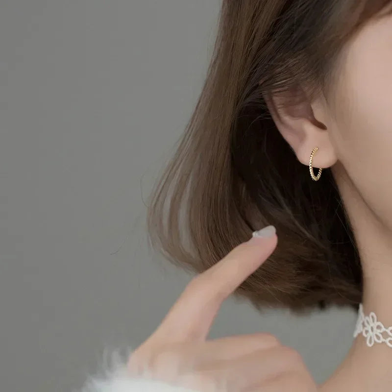 Elegant Silver Color Stainless Steel Crystal Round Hoop Earrings for Women