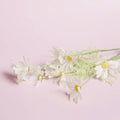 55x120cm White Photo Backdrop - Waterproof Anti-Wrinkle PVC Studio Background