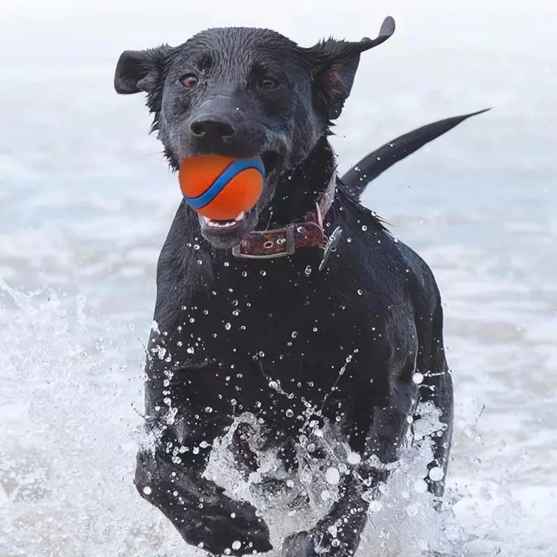 Dog Fetch Ball Toy - Durable Chew & Jumping Pet Ball for All Sizes