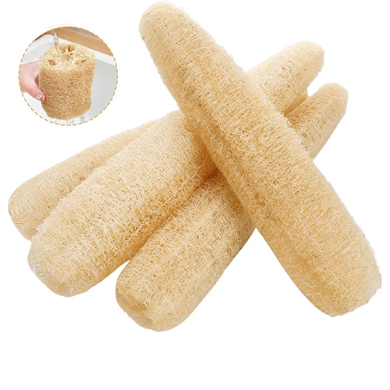 Natural Loofah Sponge for Exfoliating Body Wash & Scrubbing - Biodegradable