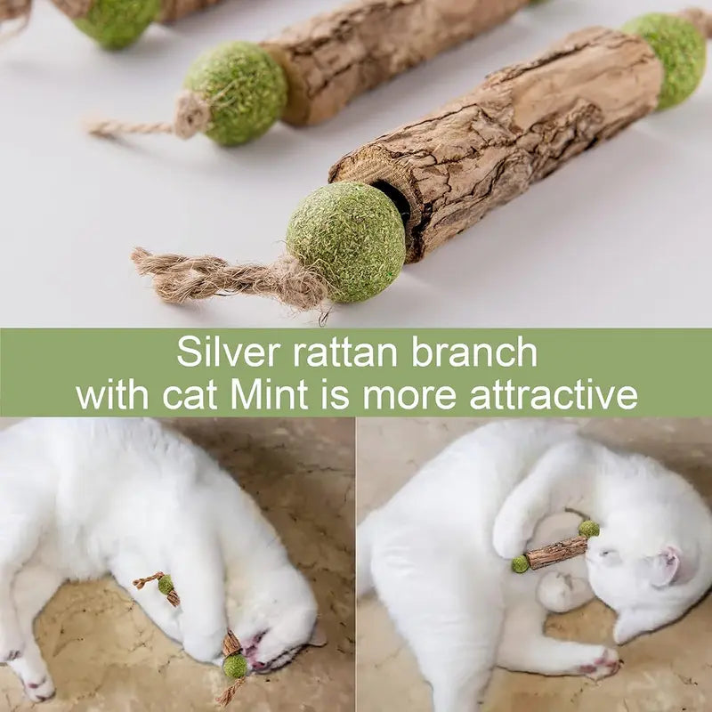 Natural Catnip and Silvervine Toothpaste Stick for Cats - Oral Care & Chew Toy