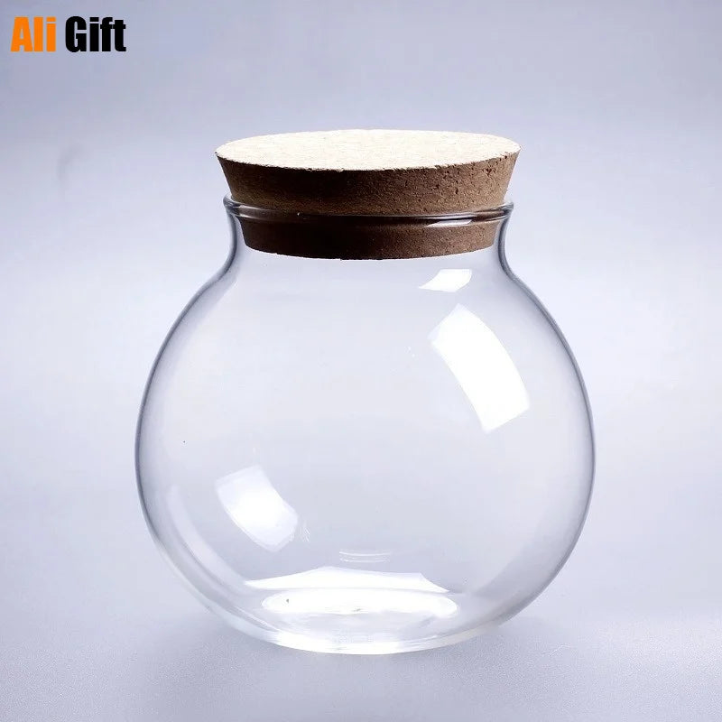 Micro Landscape Glass Bottle Vase with Wooden Lid - DIY Home Decor, Multiple Sizes