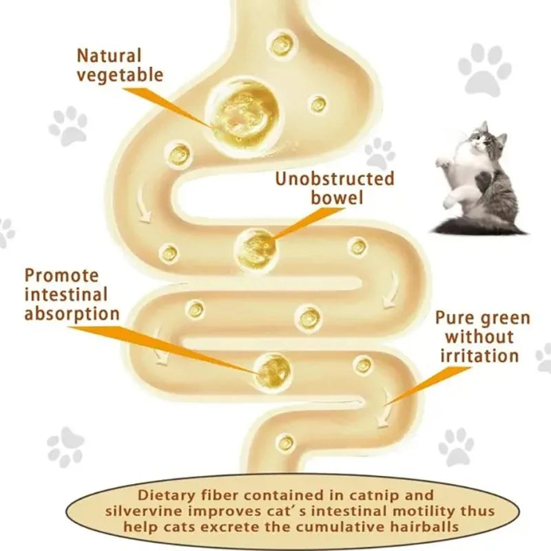 4-in-1 Rotating Catnip and Silver Vine Toy for Cats - Teeth Cleaning & Digestive Health