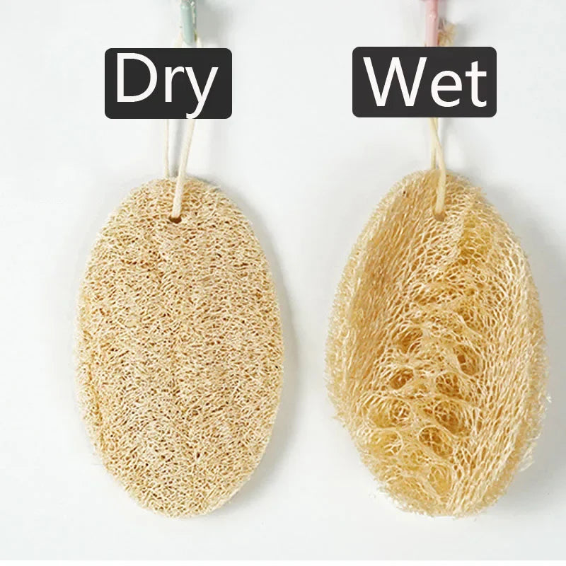 Natural Loofah Sponges Set - Organic Exfoliating Bath & Body Scrubber, 5 pcs